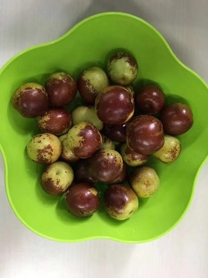 哪里的冬棗最好?山東沾化、河北黃驊、陜西大荔,還是山西、新疆江西或其他地方?