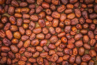 滄州現(xiàn)在是幾線城市,發(fā)展得如何