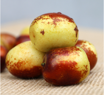 冬棗產(chǎn)地與品質(zhì)解析 陜西富平與河北黃驊的比較